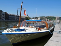 Sarcelle IV